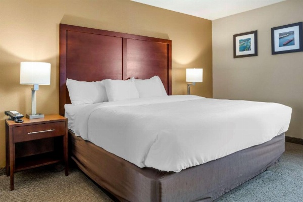 Comfort Inn Sault Sainte Marie image 14