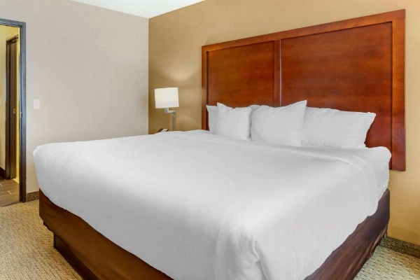Comfort Inn Sault Sainte Marie image 22